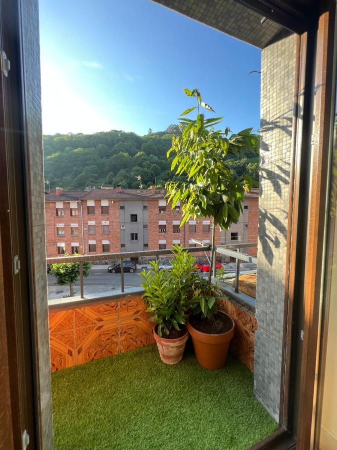 Mountain View Apartment 미에레스 외부 사진