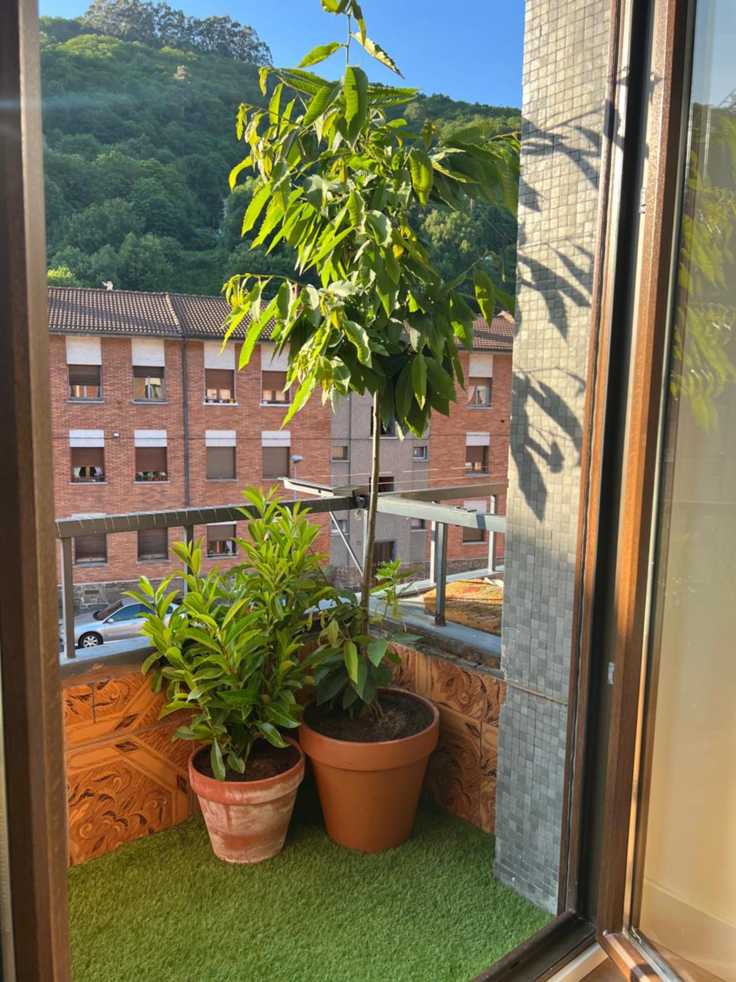 Mountain View Apartment 미에레스 외부 사진